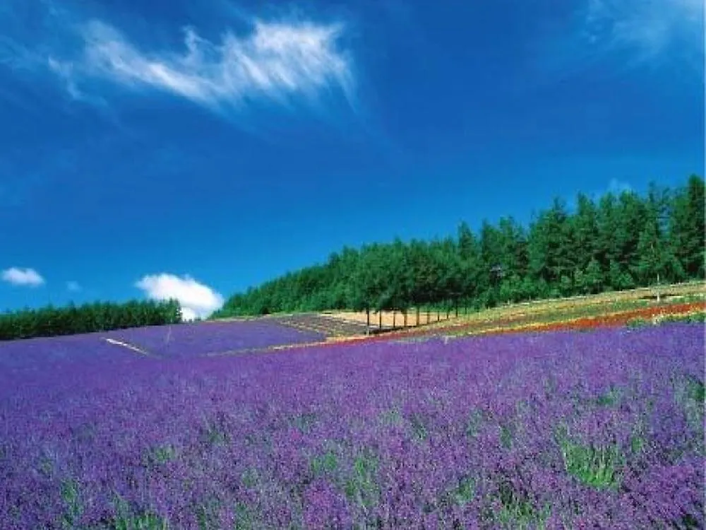 Hotel La Vista Furano Hills Natural Hot Spring